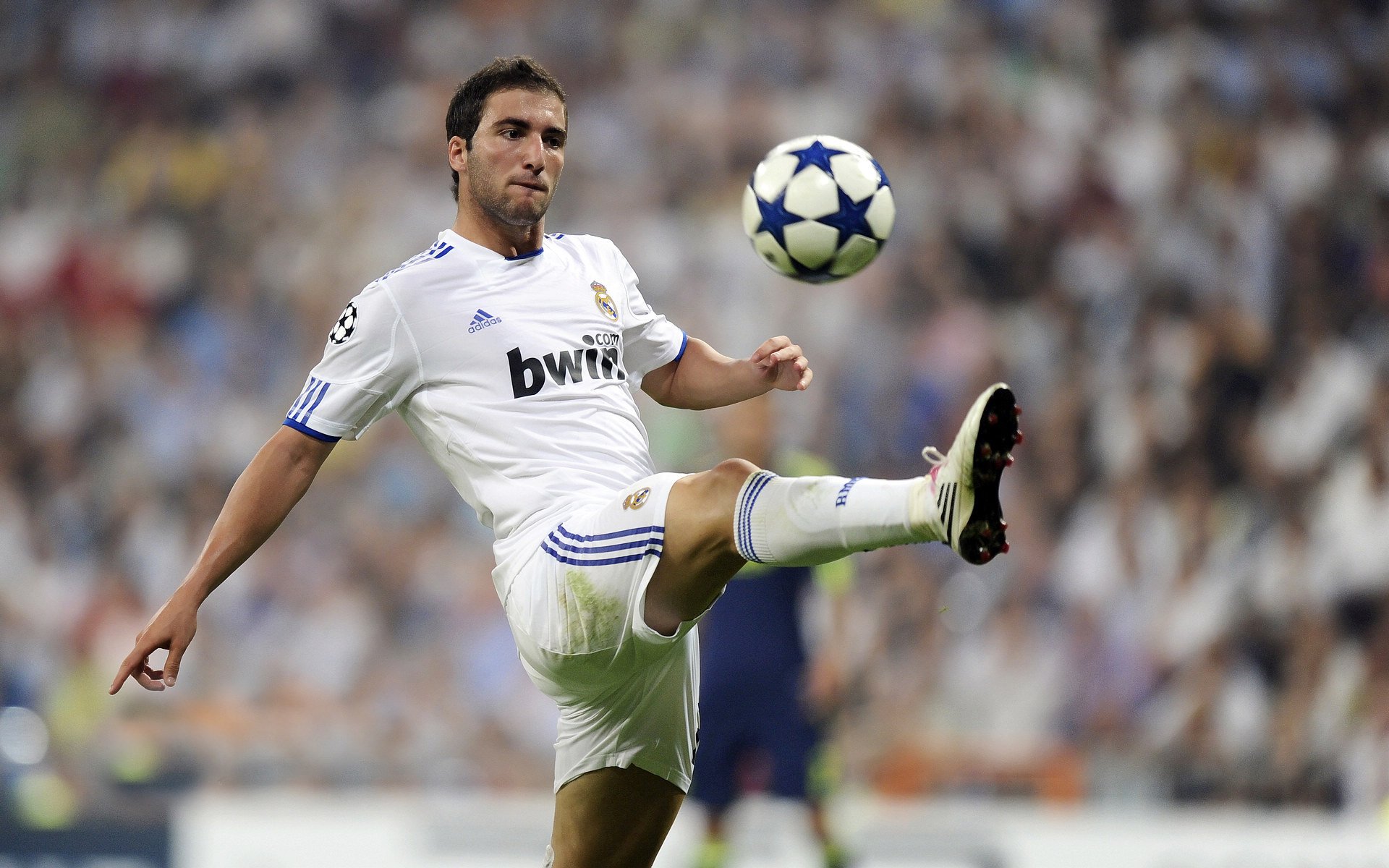 加拿大队观众热烈欢呼！，莱万多夫斯基迎来五赛季出色发挥全场沸腾不已