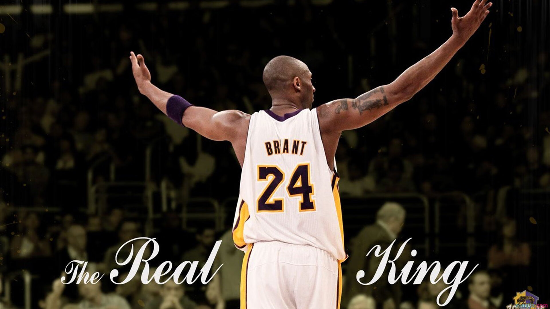 官场争雄乔红波小说免费阅读